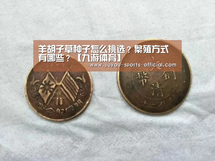 羊胡子草种子怎么挑选?繁殖方式有哪些?【九游体育】(图2) 九游体育平台