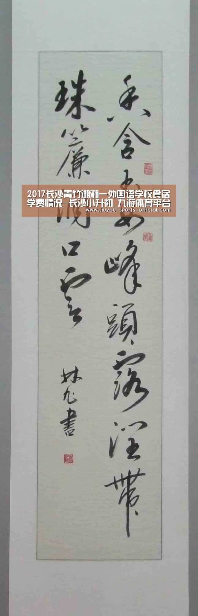 2017长沙青竹湖湘一外国语学校食宿学费情况-长沙小升初_九游体育平台(图2) 九游体育官网