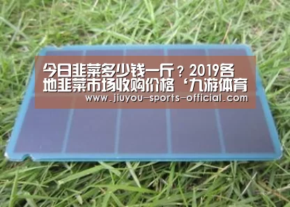 今日韭菜多少钱一斤?2019各地韭菜市场收购价格‘九游体育’(图2) 九游体育