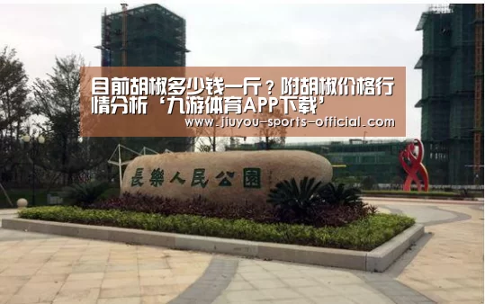 九游体育APP下载