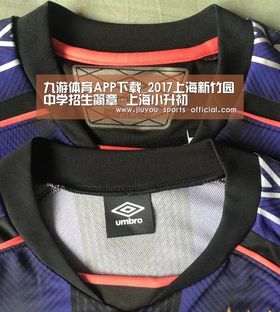 九游体育APP下载